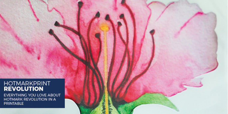 HotmarkPrint Revolution 1798 Printable Transfer Media (30" x 1 yd)