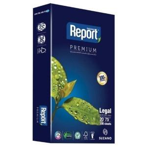 Report Eco-Friendly Paper