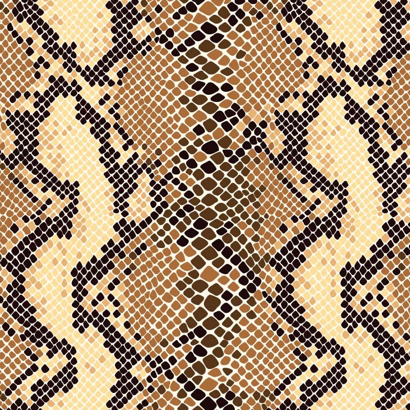 Trends Heat Transfer Vinyl (12" x 1 yd)